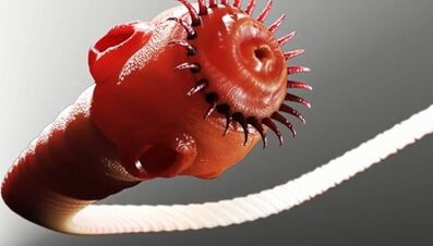 druhy parazitov v ľudskom tele