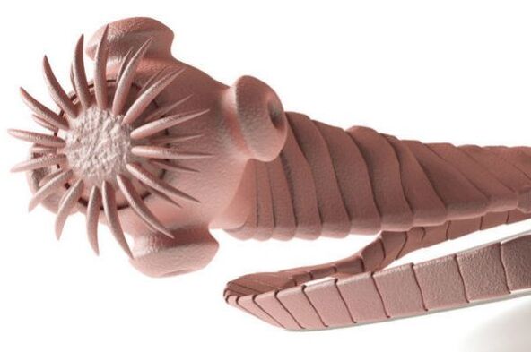 parazit z ľudského tela